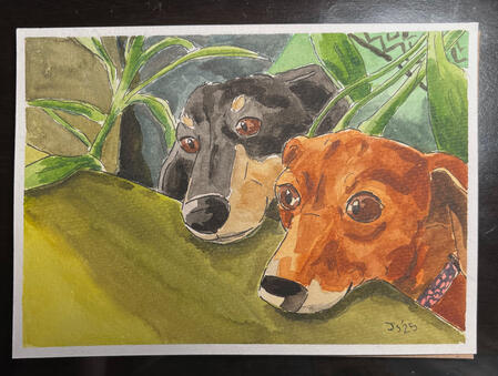 Traditional Pet Portrait; ink and watercolor fully rendered ($45) Traditional Pet Portrait; ink and watercolor fully rendered ($45)